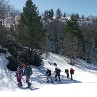 Ruta con raquetas de nieve en Accous - 1 día