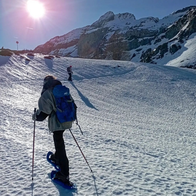  Paseo por la nieve bajo el sol 