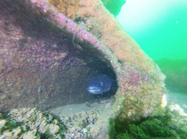 Magnífica biodiversidad