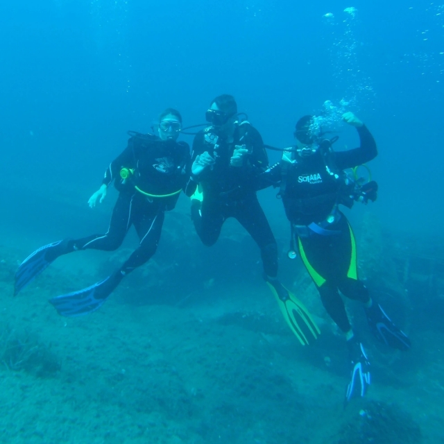 Bucear en la cuenca de Arcachon