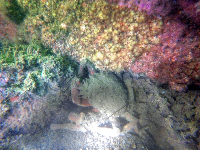 La naturaleza en todo su esplendor