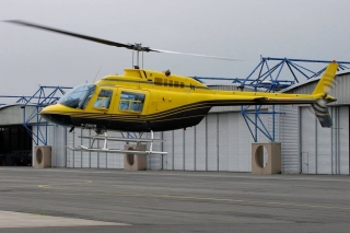 Vuelo introductorio en helicóptero en Loiret - 30 min