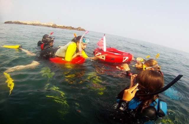  Listo para hacer snorkel. 