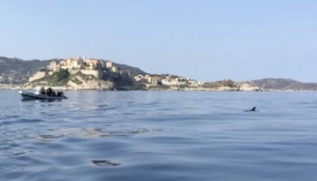  Viaje de buceo en Calvi 