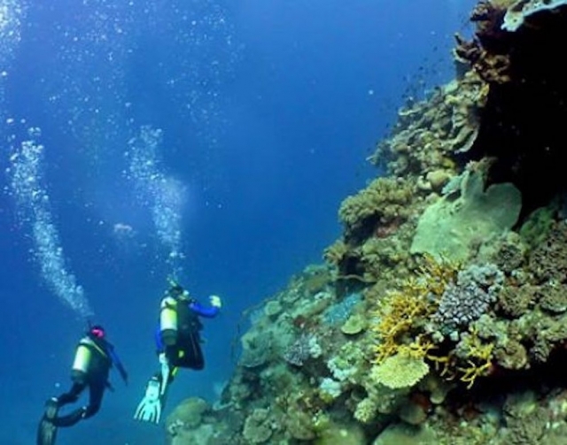  Entrenamiento de buceo acompañado de un instructor. 