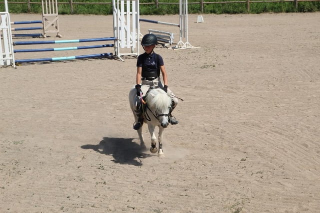 Pony blanco, melena al viento 