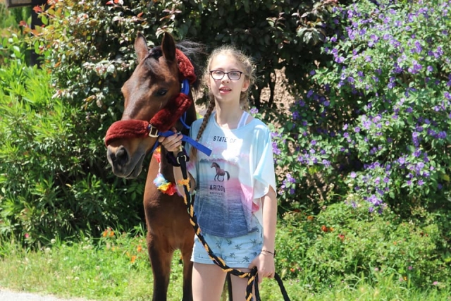  Pequeño pony del sur de Francia 