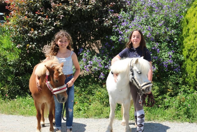  A los niños les encantan nuestros pequeños ponis 