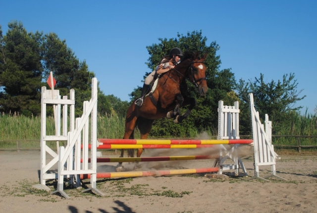  Perfeccionamiento a caballo 