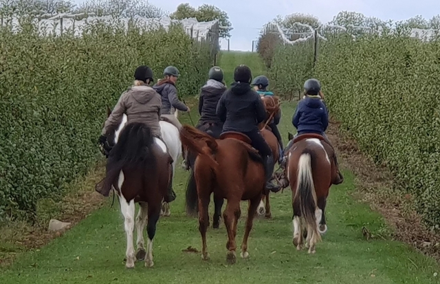 Pbaños en grupo a caballo por el Vexin