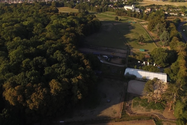 El centro visto desde el cielo - 999 - Los caballos descansan en el prado.