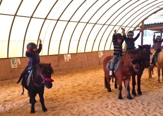  ¡Gran pony! 