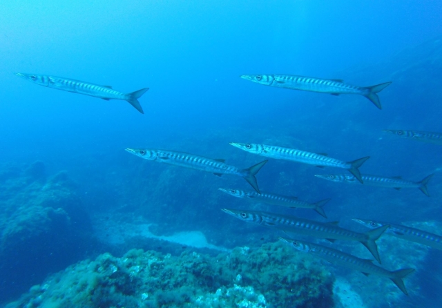 Una experiencia inolvidable