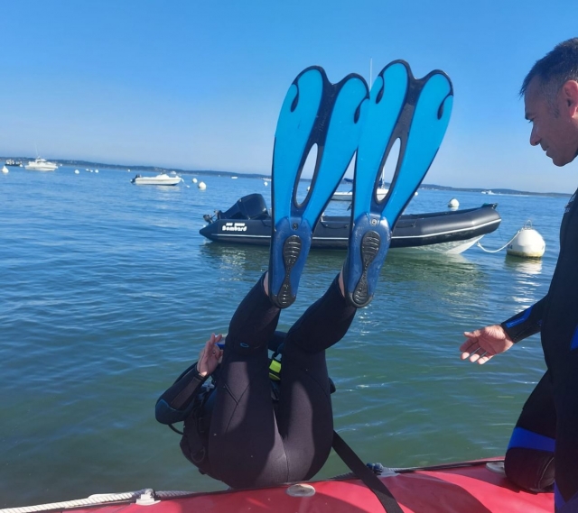 Instructores a su disposición