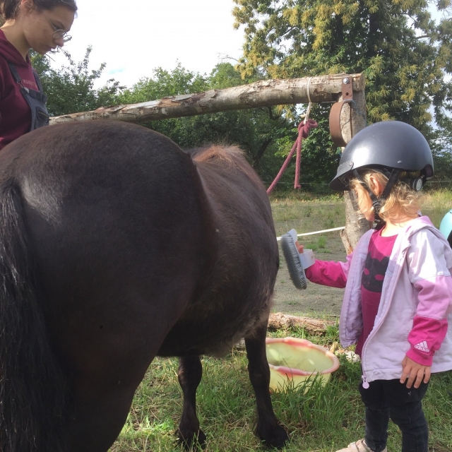  La petile fille prend soin de son poney après el paseo
