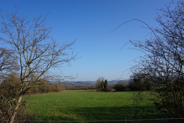  Jolie panorama des champs du pays de La Loire 