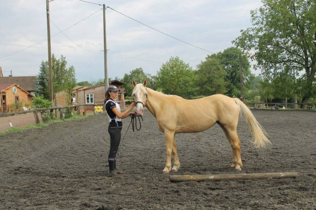  Preparación del caballo 