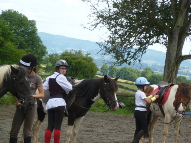  Contacto con los ponis 