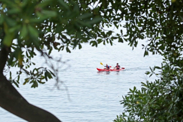 Paseo en kayak de mar por las costas salvajes