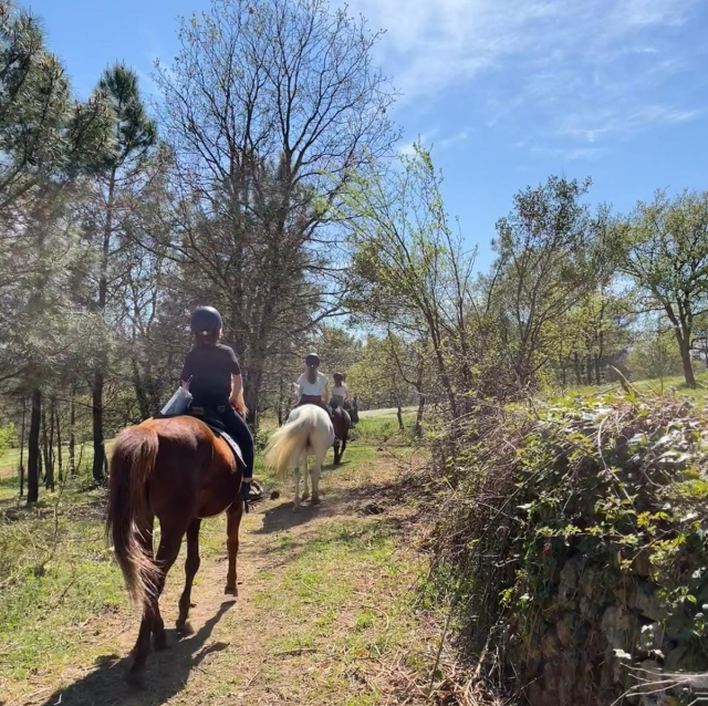 Pbaños a caballo en Tauriers en Ardèche - 1 hora