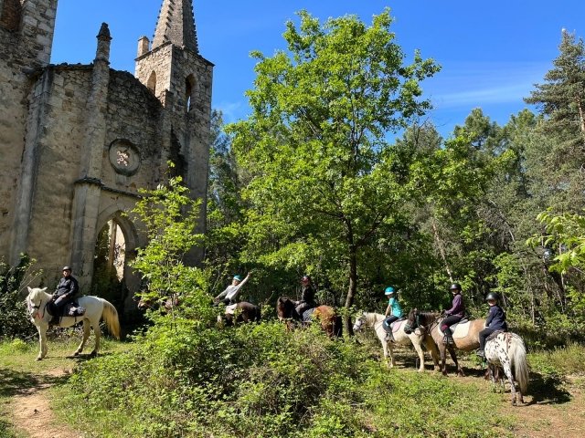  Paisaje verde 