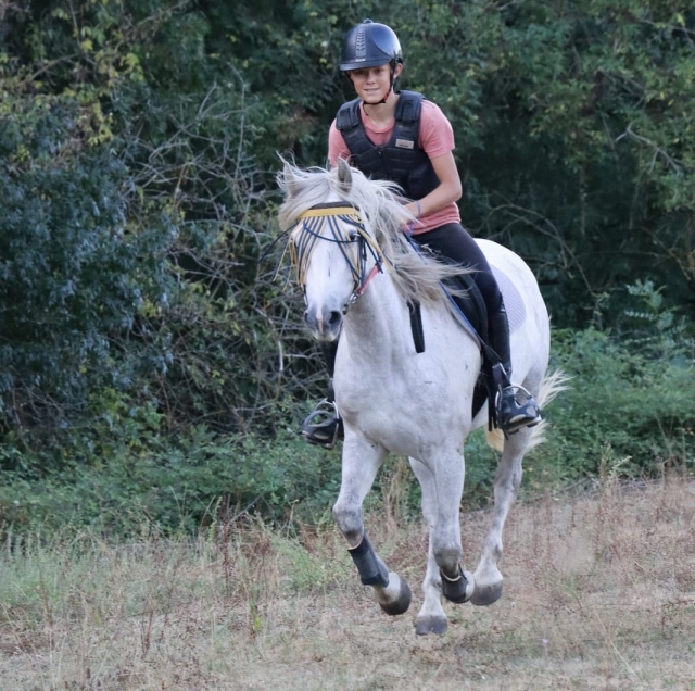  Preparación para el paseo a caballo 