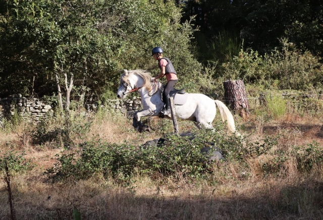  Paseo a caballo en Ardèche 