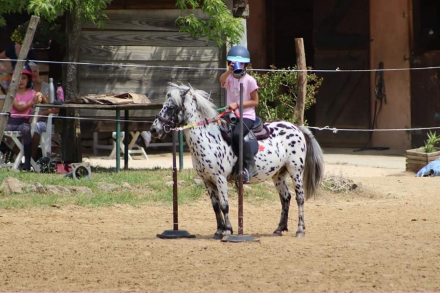 Lista para dar un paseo en su pony moteado 