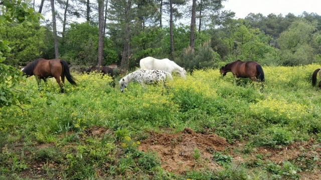 Actividad recreacional ! 