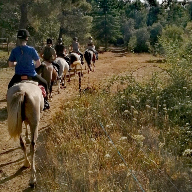  ¡Una experiencia para hacer! 