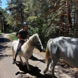 Pbaños a caballo en los Altos Alpes 1/2 día