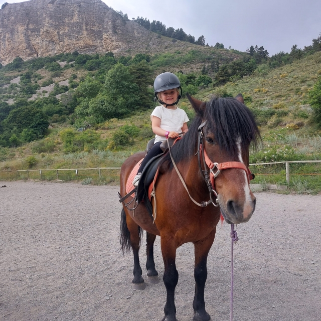  Niño en pony