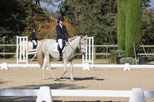 Entrenamiento del caballo con abrigo beige