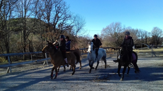  Descubrimiento de los paisajes de los Alpes de Alta Provenza a caballo 