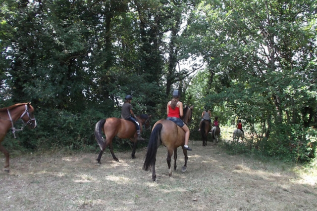  Pbaños a caballo por el bosque 