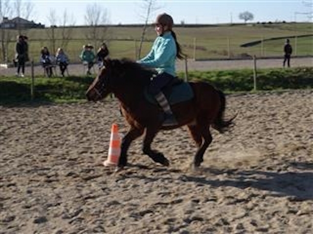 Lecciones de ponis. 