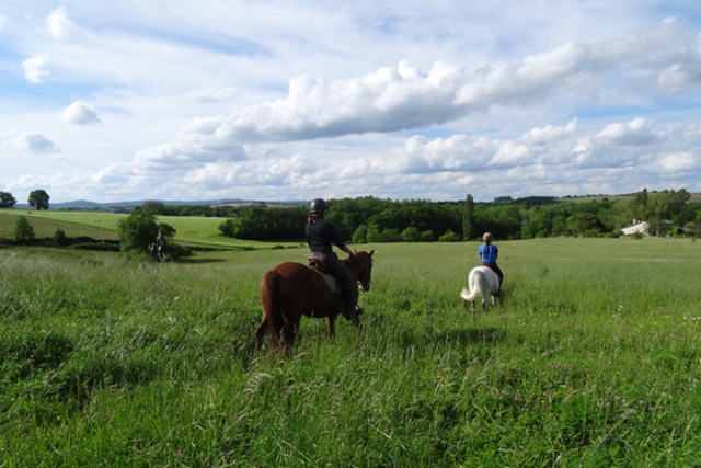  ¡Galope entre la hierba alta! 