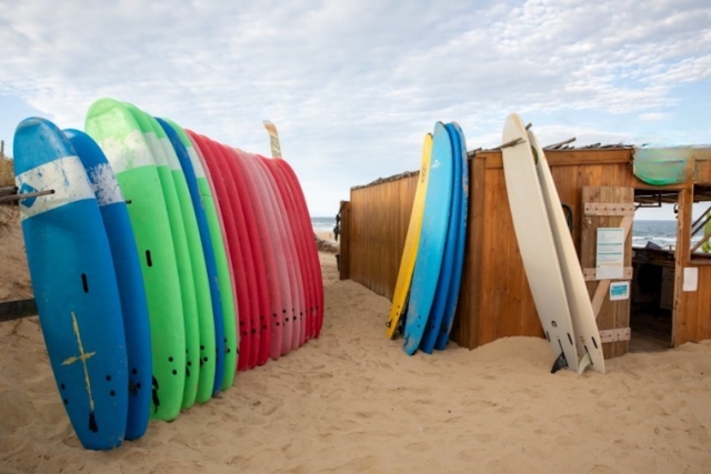 Nuestras tablas de surf. 