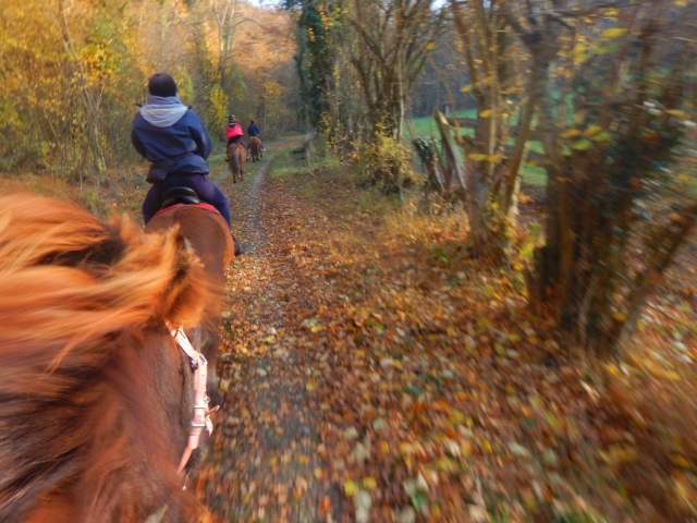  Descubrimiento de los paisajes otoñales a caballo 