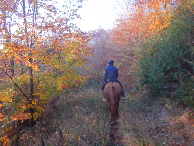  Inmersión en la naturaleza 