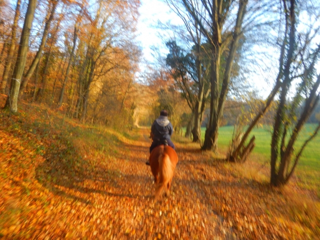  Pbaños a caballo por un día 