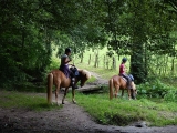 Paseo a caballo en Perruel - 3 horas