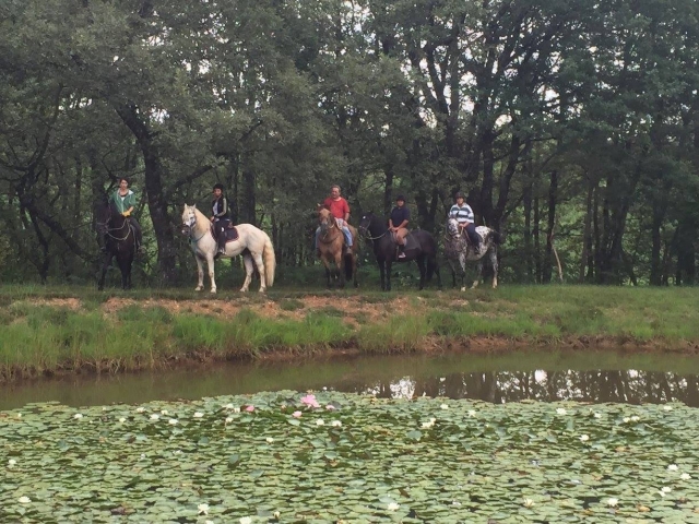  Exploración del entorno natural y preservado de Saint-Félix-de-Reillac-et-Mortemart 