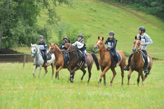  Paseo de adiestramiento a caballo 