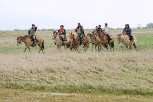  Aventura a caballo. 