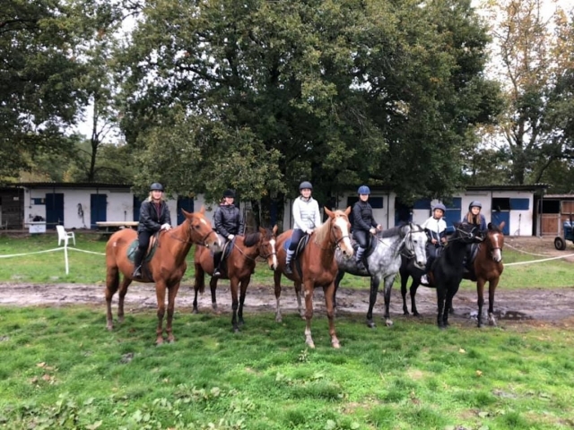  Nuestros caballos en el centro ecuestre. 