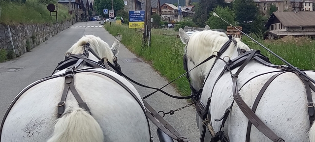  Paseo relajanle. 