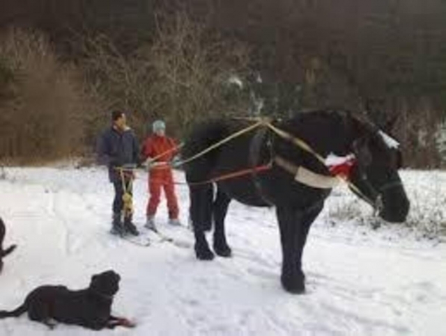  Esquí a caballo en los Alpes Marítimos 
