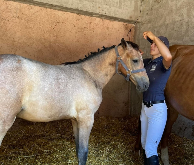  Monitores apasionados 