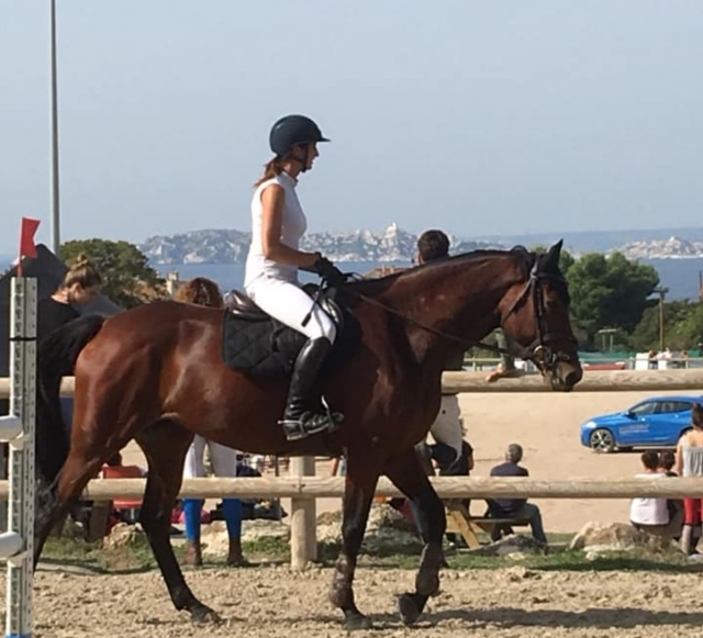  Una diversidad de actividades impresionanle 